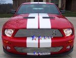 2008 Ford Mustang Shelby GT500 Aluminum Billet Grille Insert