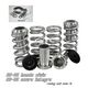 Honda Civic 1988-2000 Silver Coilovers Lowering Springs Kit