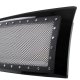 Ford F150 2009-2014 Black Custom Grille