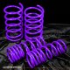 Nissan Sentra 1995-1999 Purple Lowering Springs