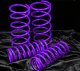 Ford Focus 2000-2005 Purple Lowering Springs